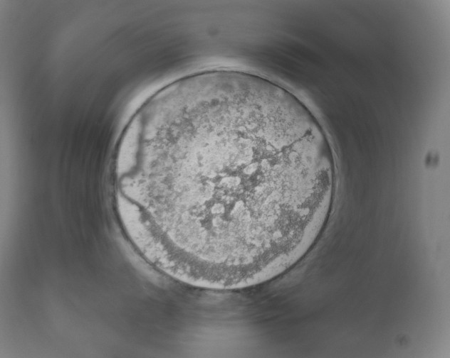 X0000110701056200907101216
