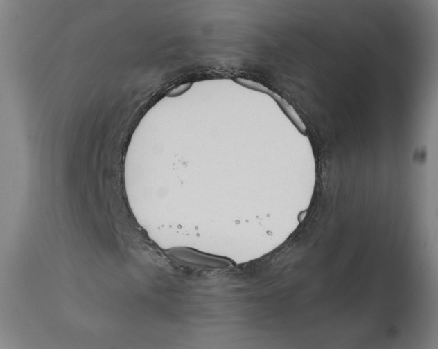 X0000110701057200907101216