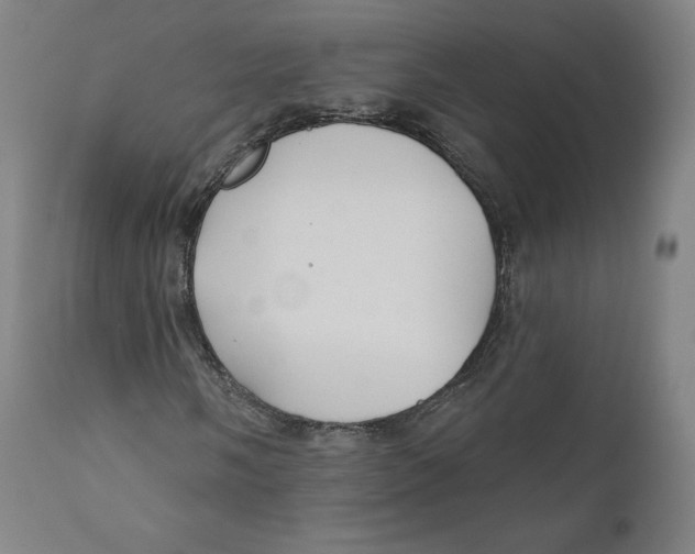 X0000110701058200907101216