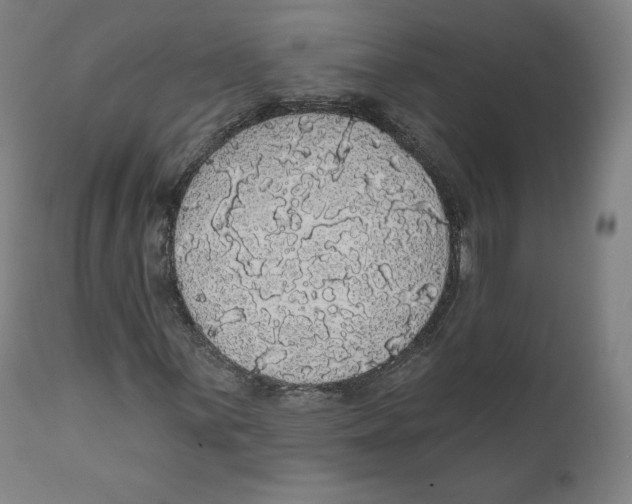 X0000110701059200907101216