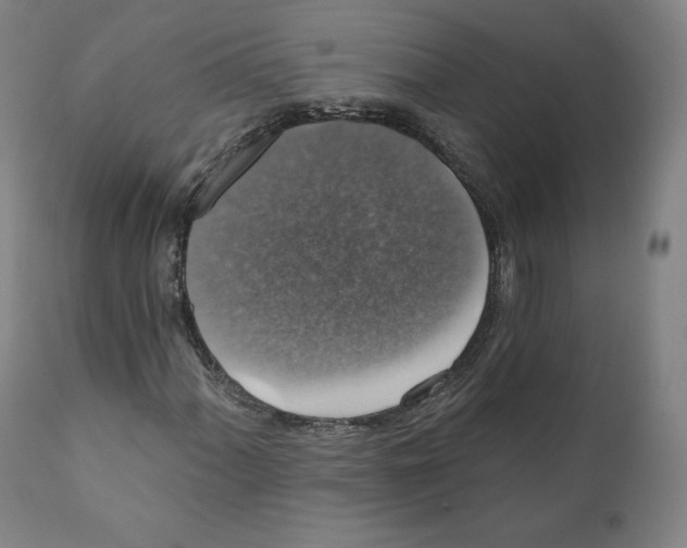 X0000110701060200907101216