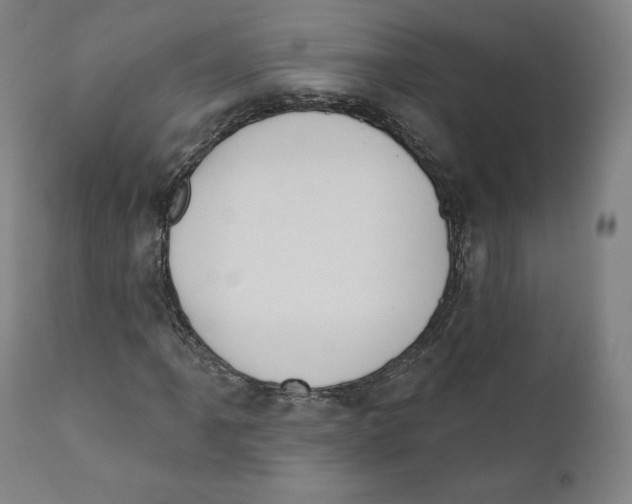X0000110701061200907101216