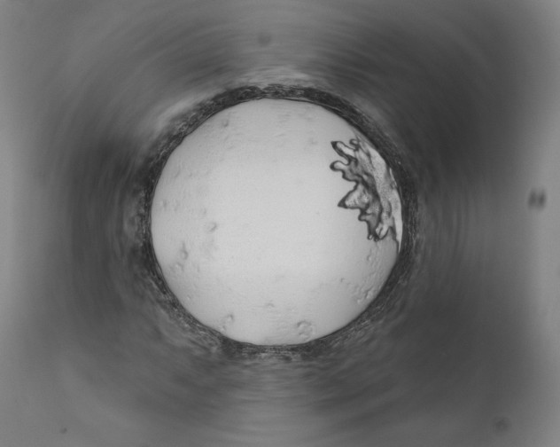 X0000110701063200907101216