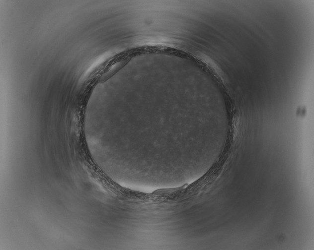 X0000110701064200907101216