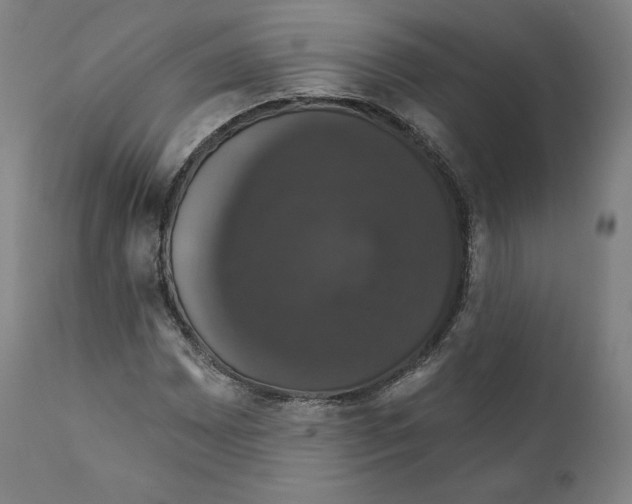 X0000110701065200907101215