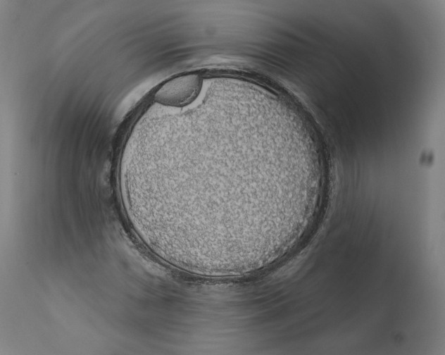 X0000110701066200907101215