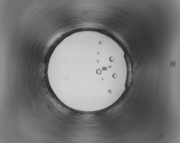 X0000110701067200907101215