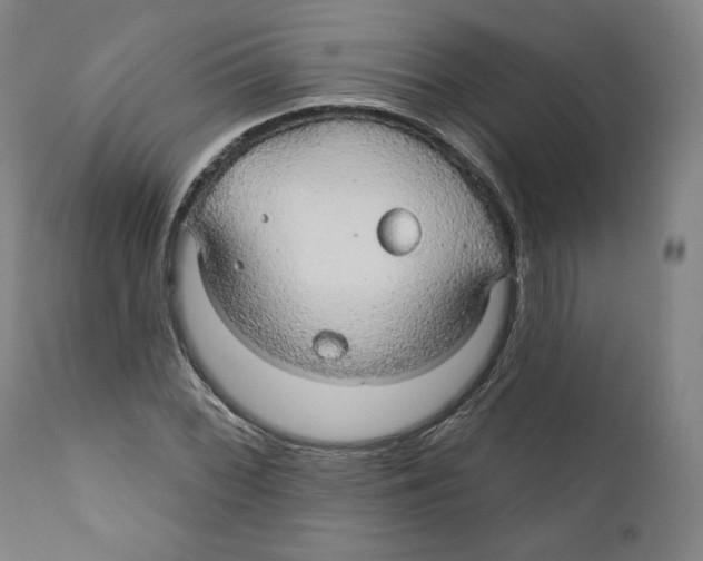 X0000110701068200907101215