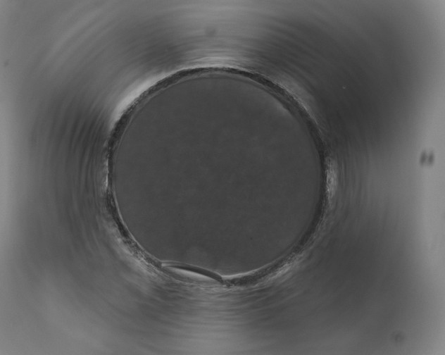 X0000110701069200907101215