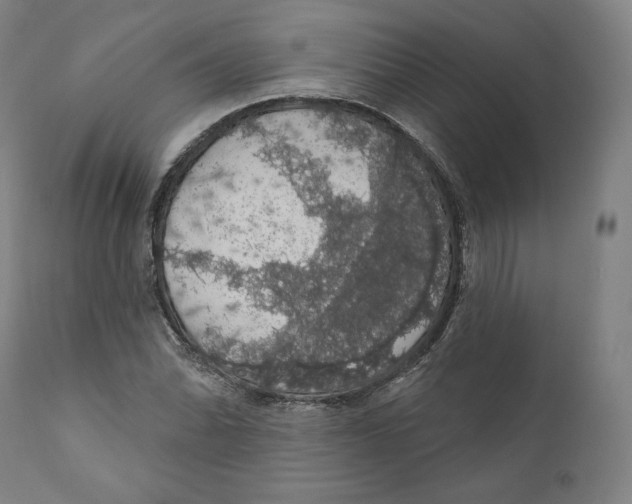 X0000110701070200907101215