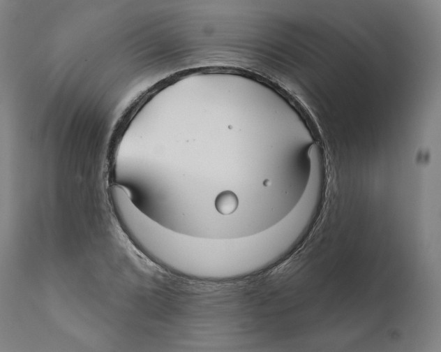 X0000110701072200907101215