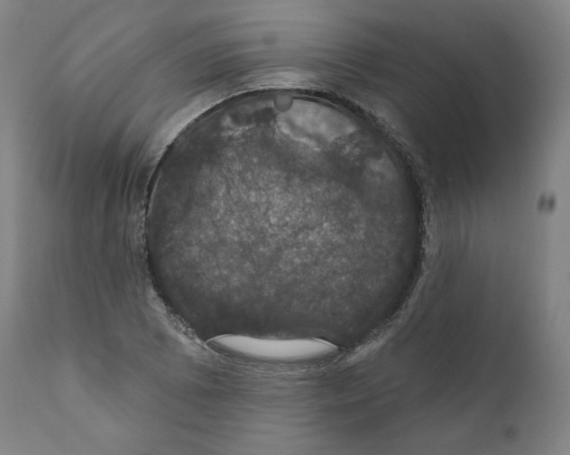 X0000110701073200907101215
