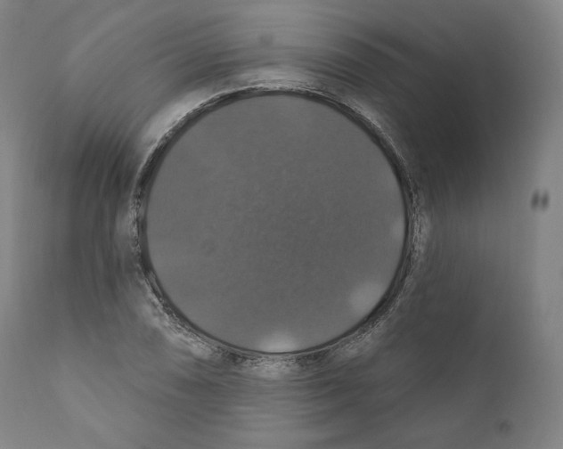X0000110701074200907101215