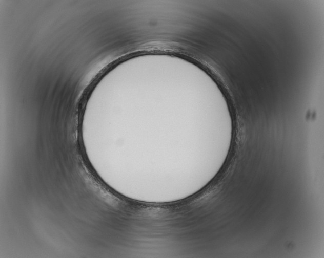 X0000110701075200907101215