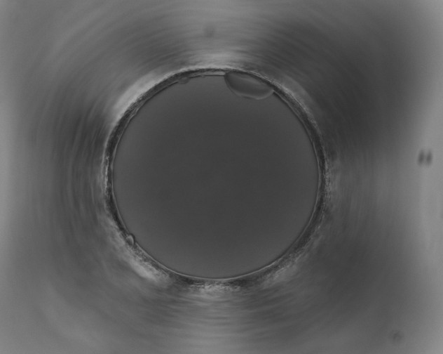 X0000110701077200907101215