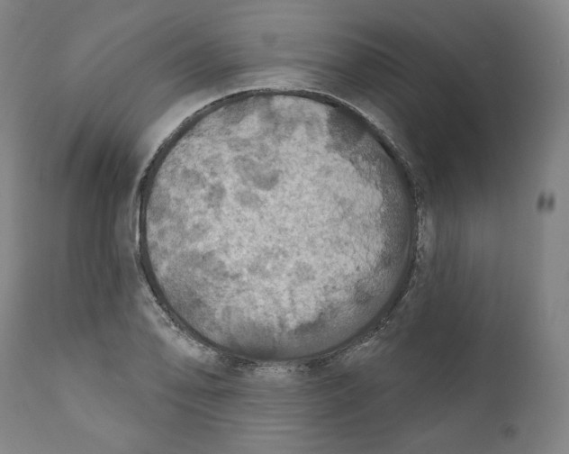 X0000110701078200907101215