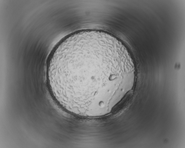 X0000110701079200907101215