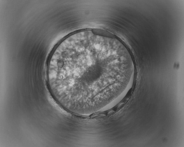 X0000110701080200907101215