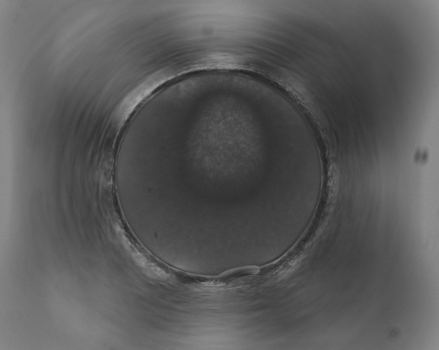 X0000110701081200907101215