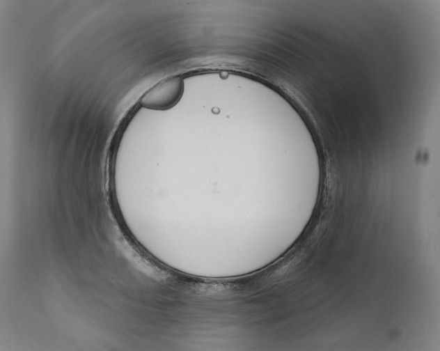X0000110701082200907101215