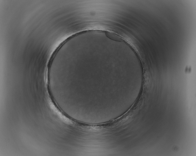 X0000110701084200907101215