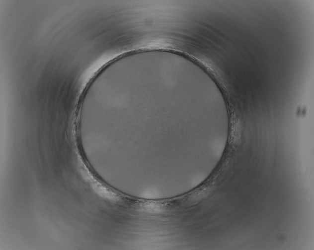 X0000110701086200907101215
