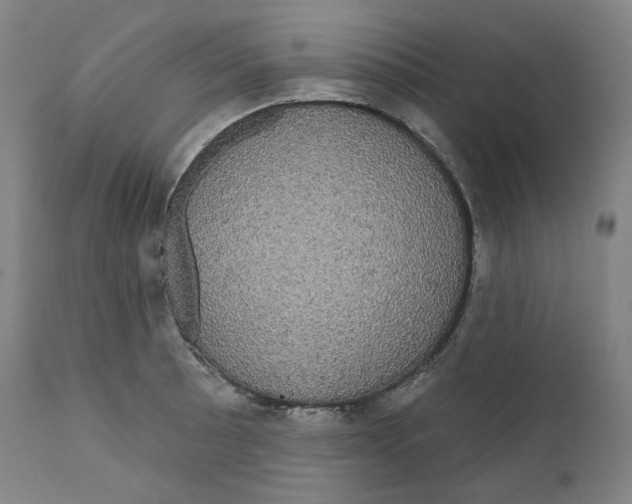 X0000110701089200907101215