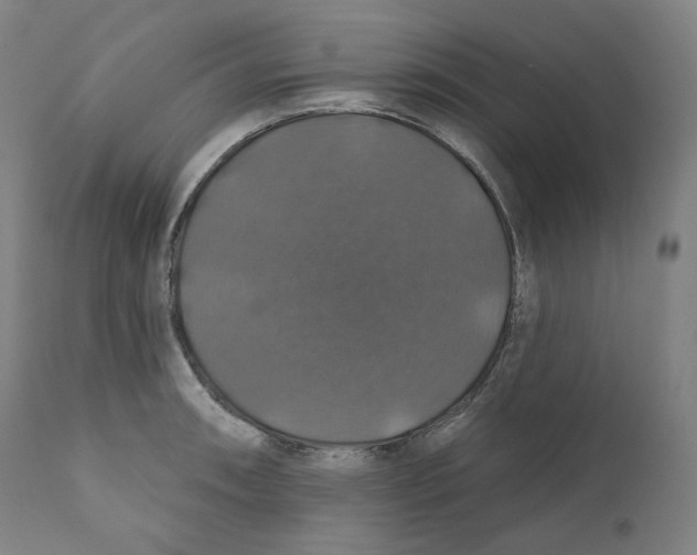 X0000110701090200907101215