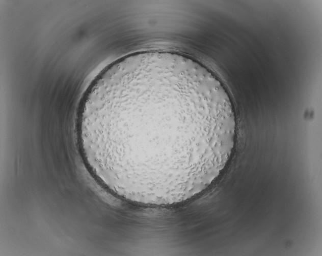 X0000110701091200907101215