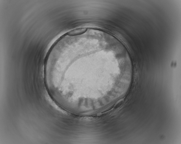 X0000110701092200907101215