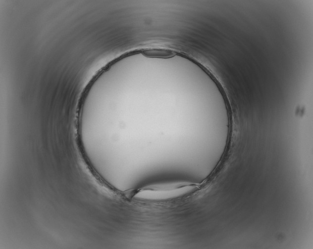 X0000110701093200907101215