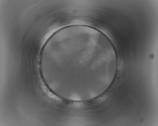 X0000110701094200907101215