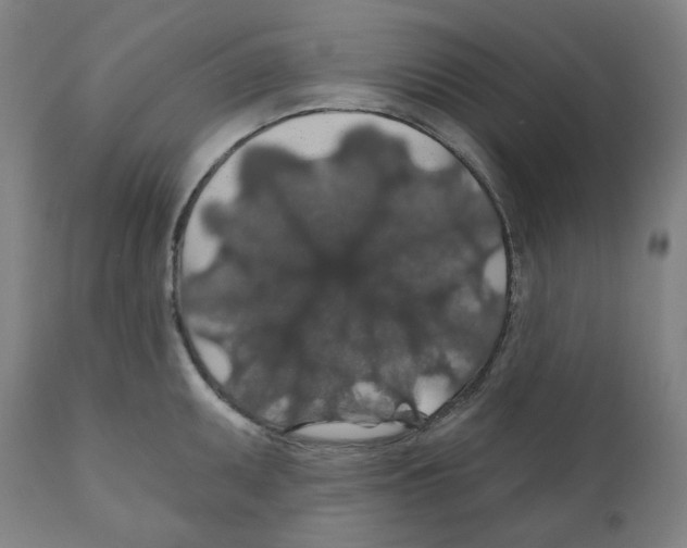 X0000110701095200907101215