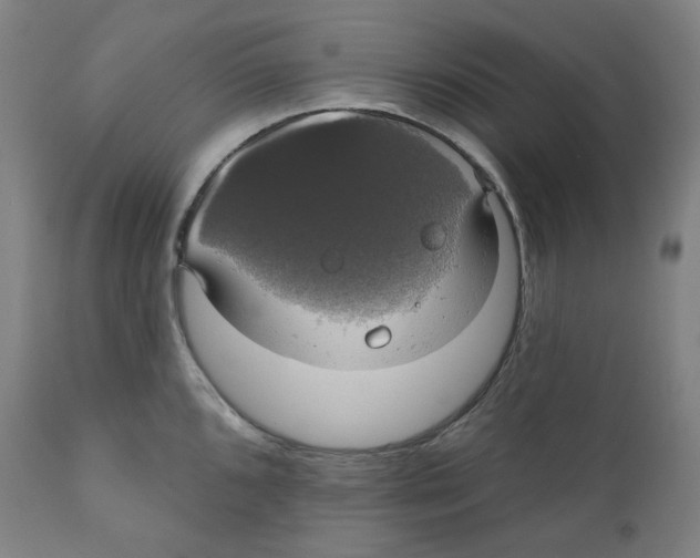 X0000110701096200907101215