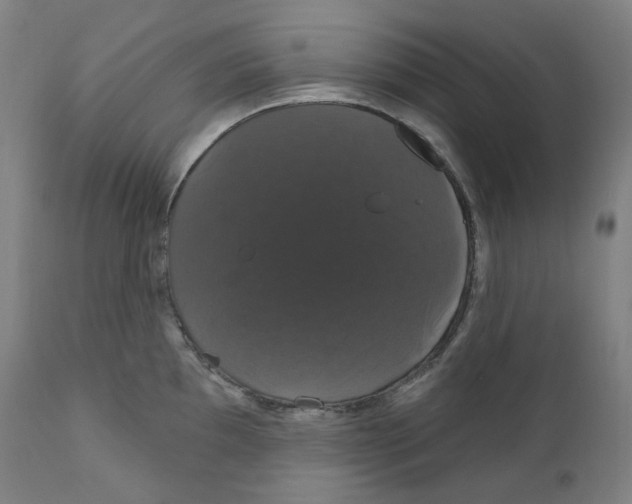 X0000110701097200907101215