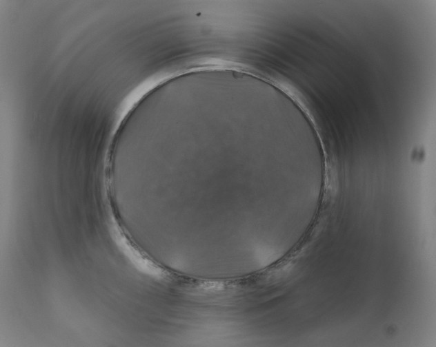 X0000110701098200907101215