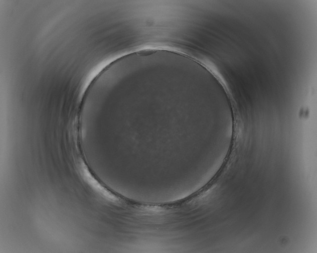 X0000110701100200907101215