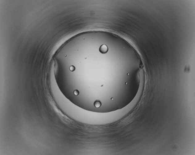 X0000110701101200907101215