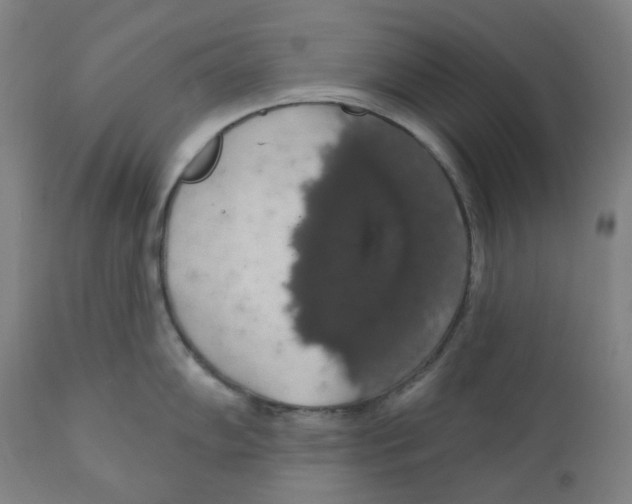 X0000110701102200907101215