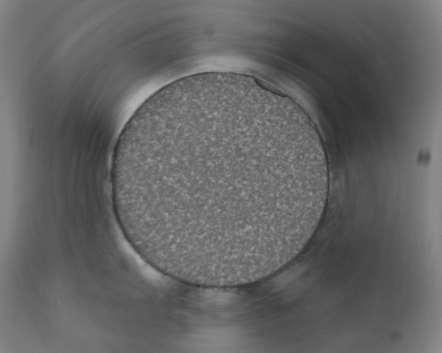 X0000110701103200907101215