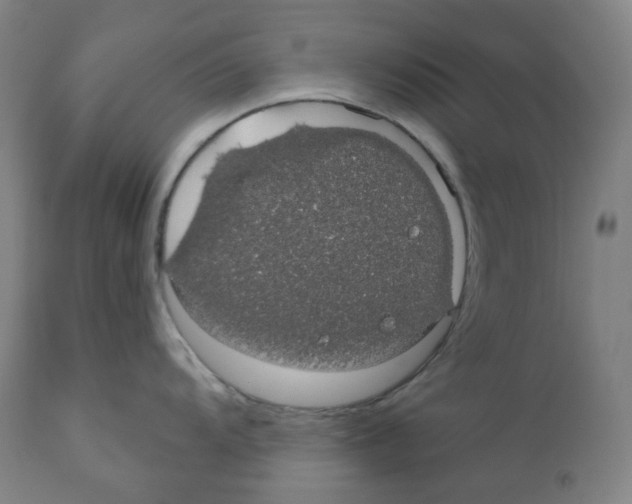 X0000110701104200907101215