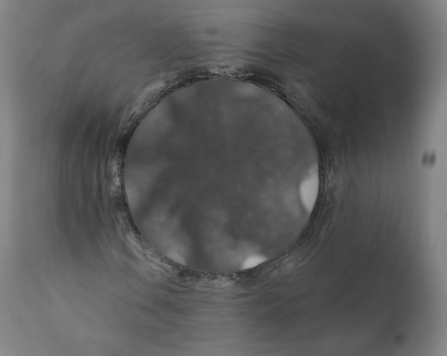 X0000110701106200907101214