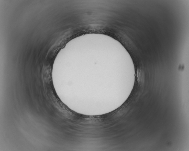 X0000110701107200907101214
