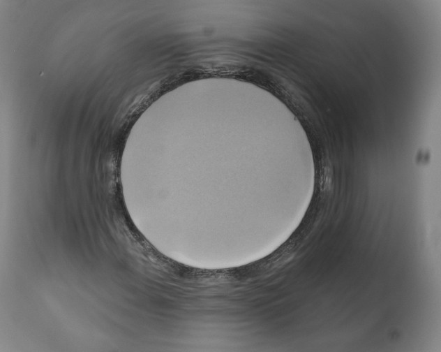 X0000110701108200907101214