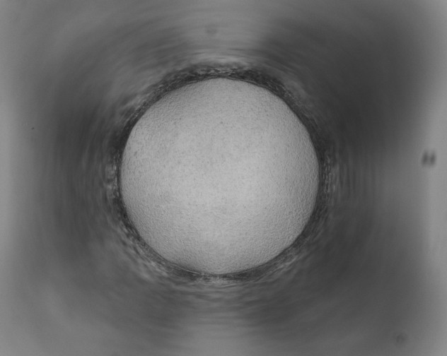 X0000110701109200907101214