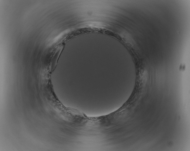X0000110701110200907101214
