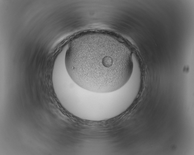 X0000110701112200907101214