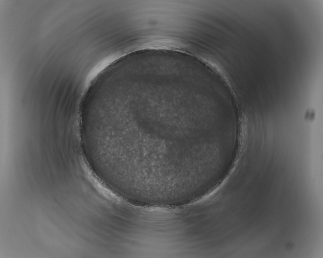 X0000110701114200907101214