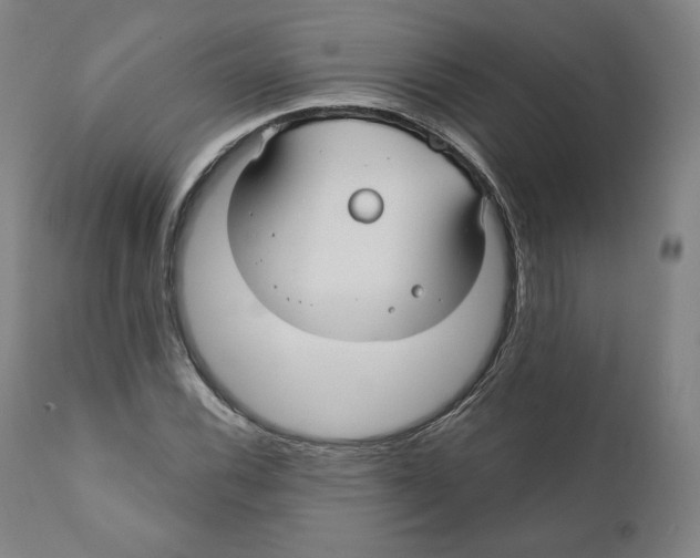 X0000110701116200907101214