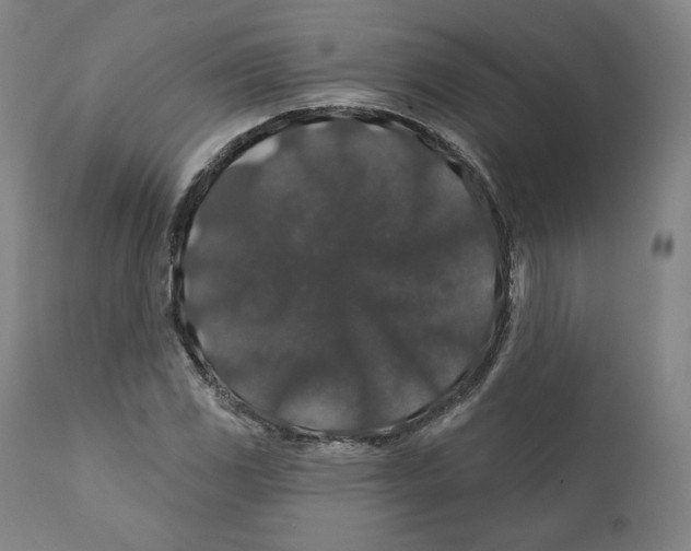 X0000110701117200907101214